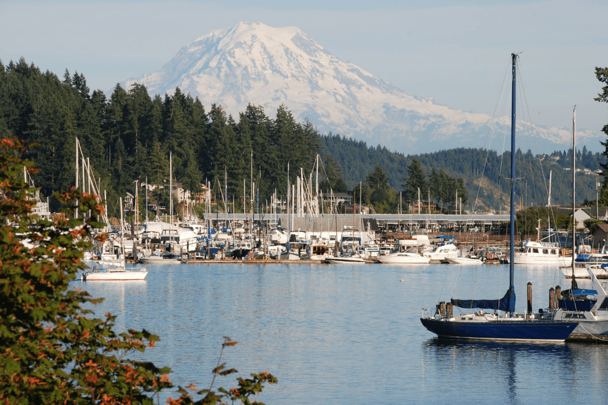 A scenic view of a marina with numerous sailboats docked, surrounded by lush green trees, and a snow-capped mountain in the background under a clear blue sky.