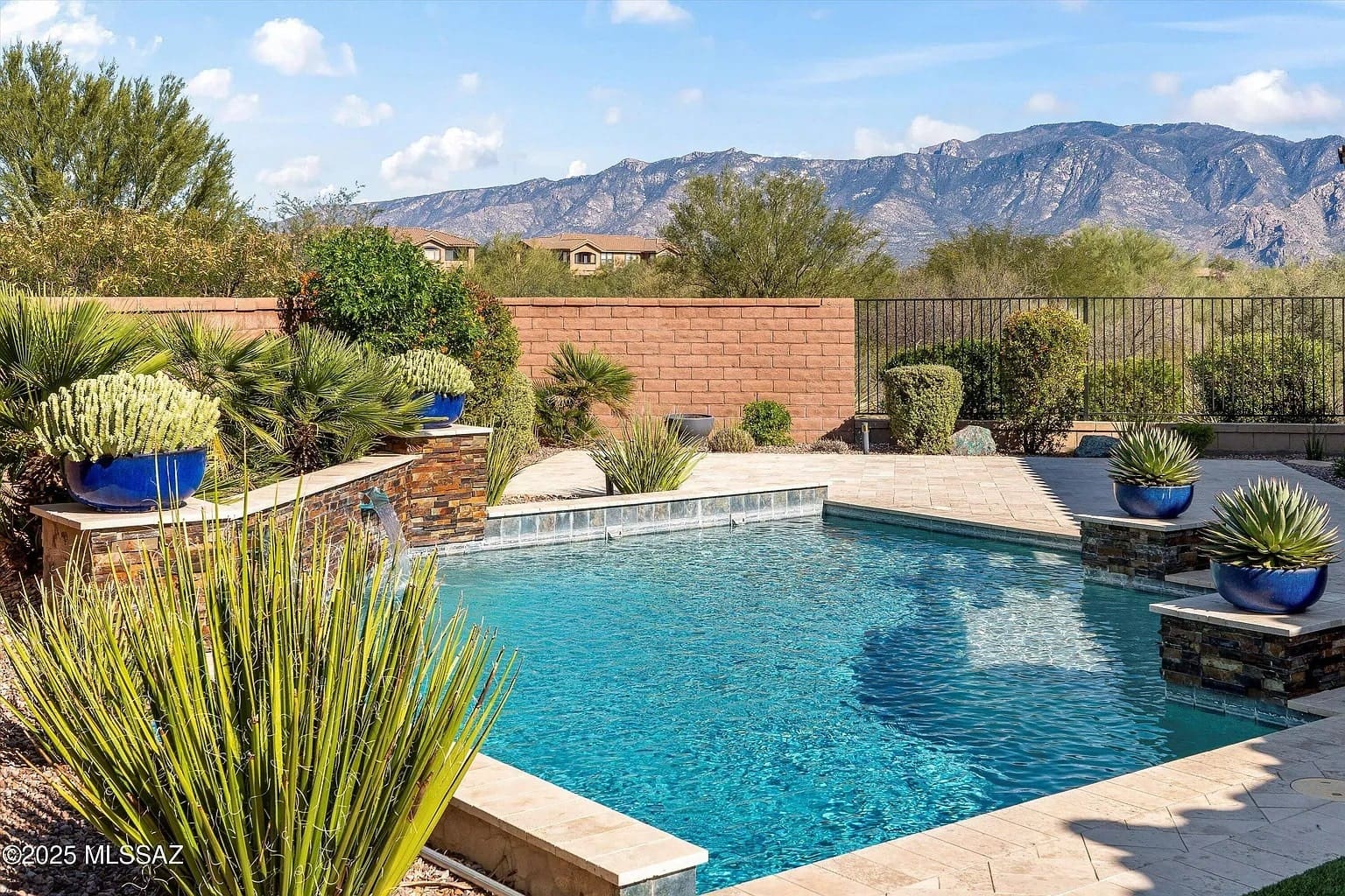 Backyard pool with desert landscaping, potted plants, and mountain view in the background.