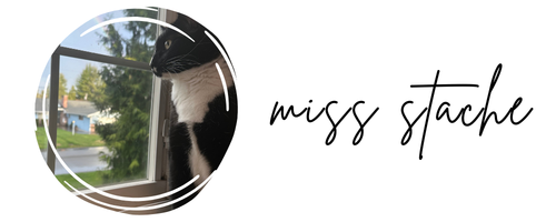 Picture of a cat with a Miss Stache signature